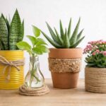 Como reutilizar materiais para fazer vasos criativos