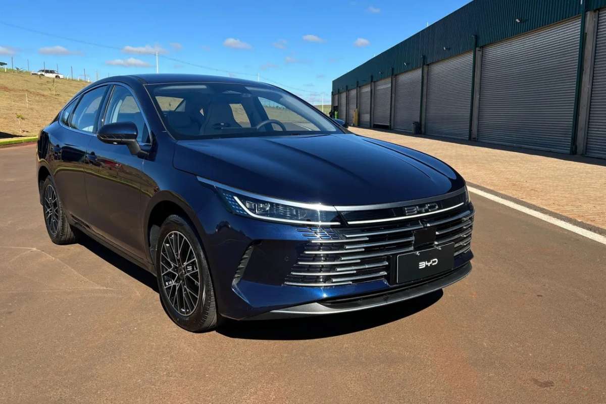 BYD King
