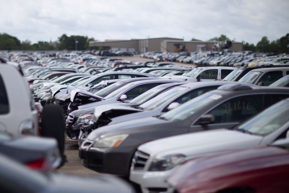 Imagem de fila de leilão de carros